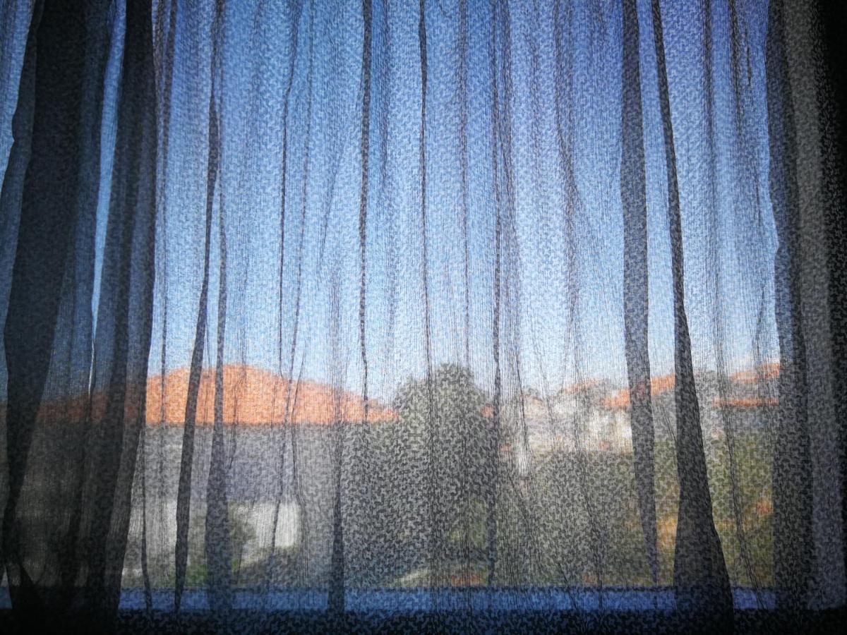 Apartment Brcic Biograd Na Moru Exterior photo